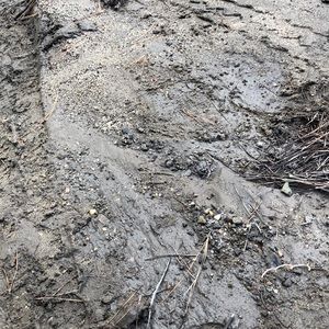 Meet your Posher, Miguel